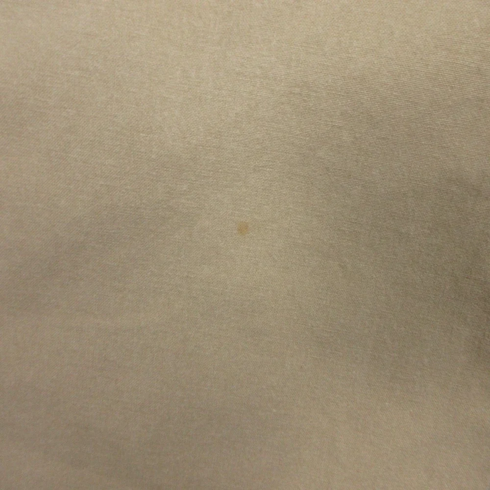 LL Bean Pants Mens 31x34 Beige Classic‎ Fit Cotton Canvas Outdoor Work Hiking